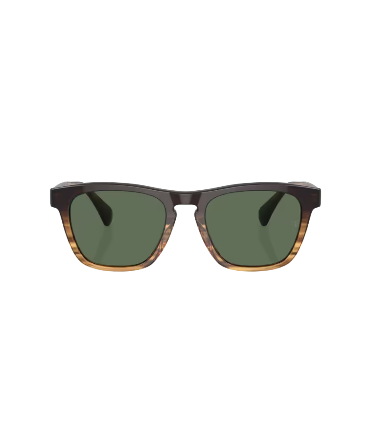 Cortado-G-15 polarized