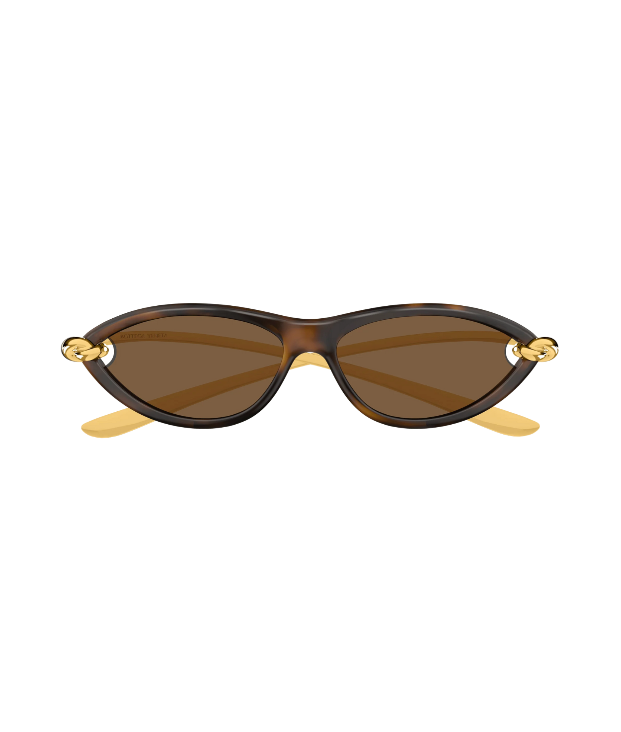 Gold Havana-Brown