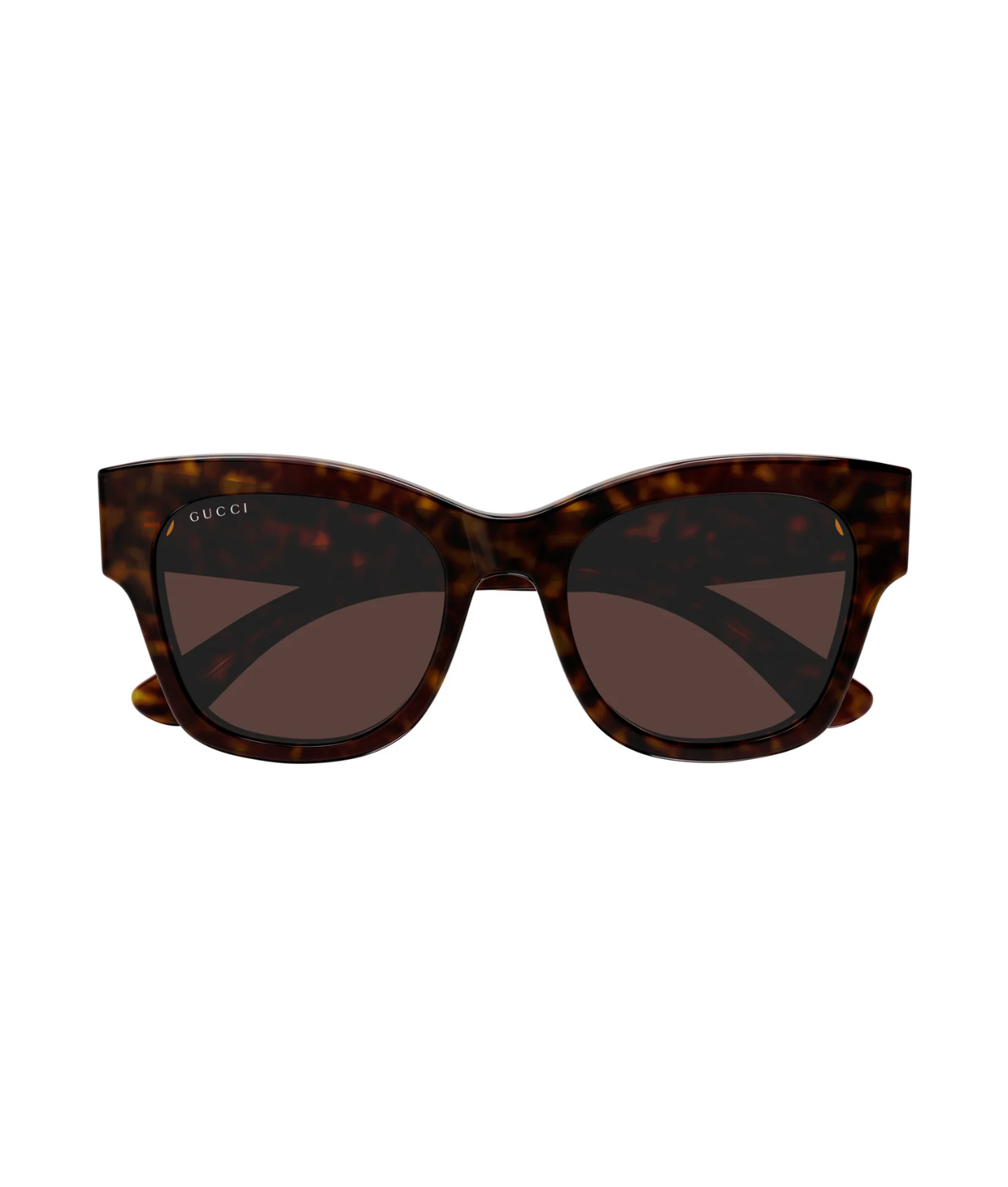 Havana-Brown