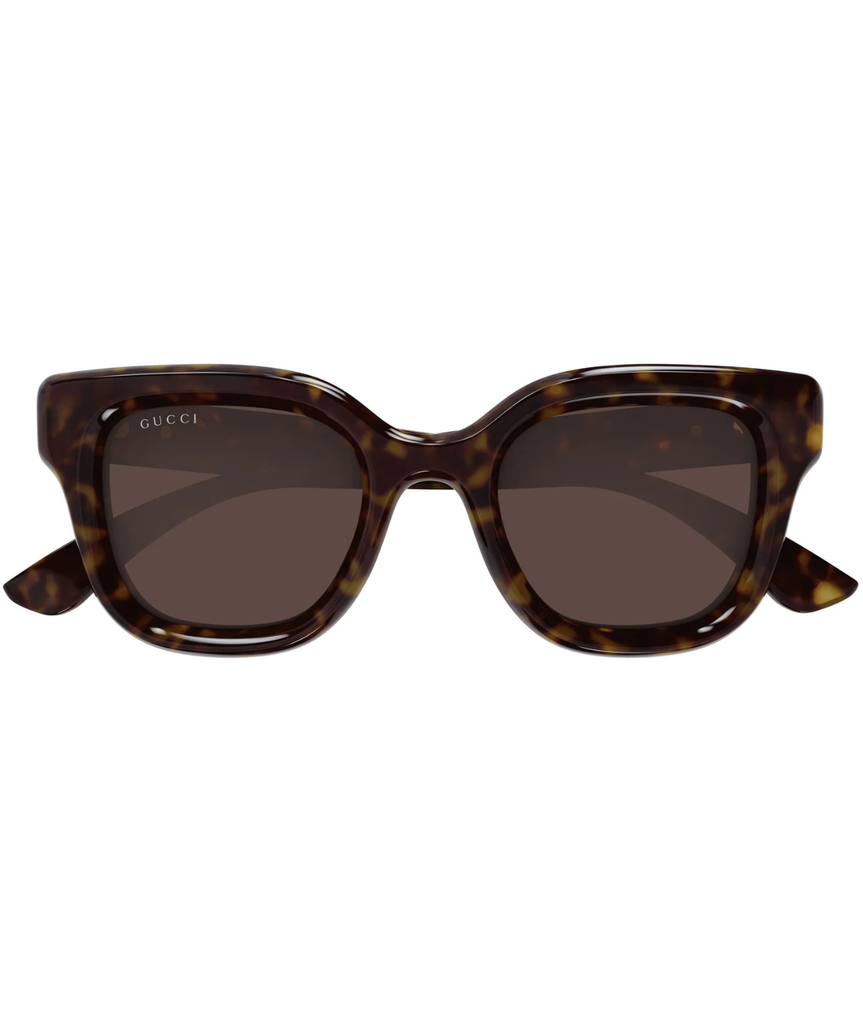 Havana-Brown