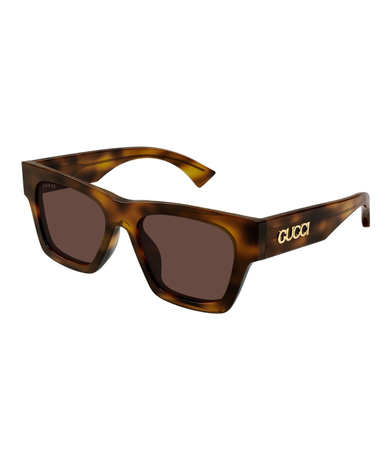 Havana-Brown