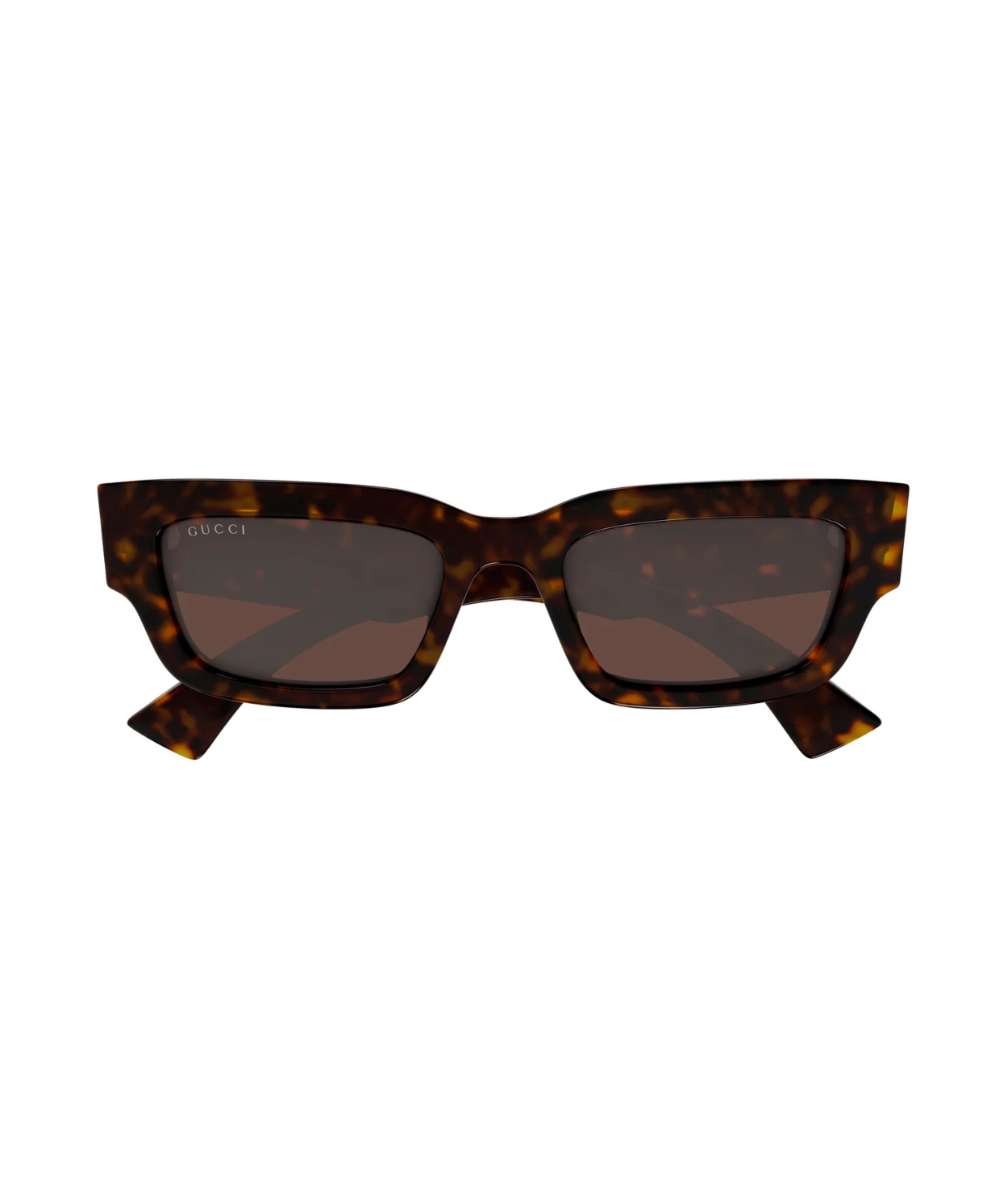 Havana-Brown