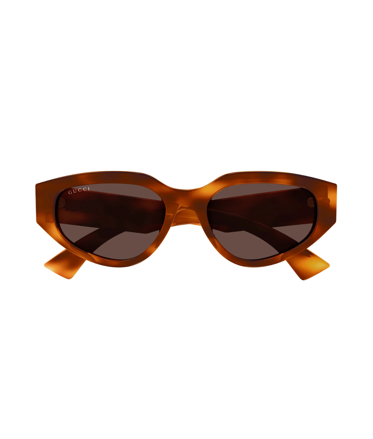 Havana-Brown