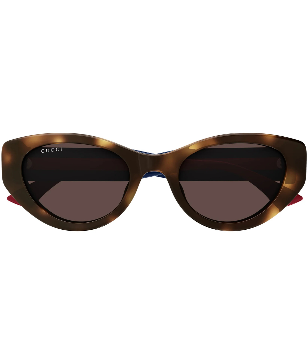 Havana-Blue-Brown