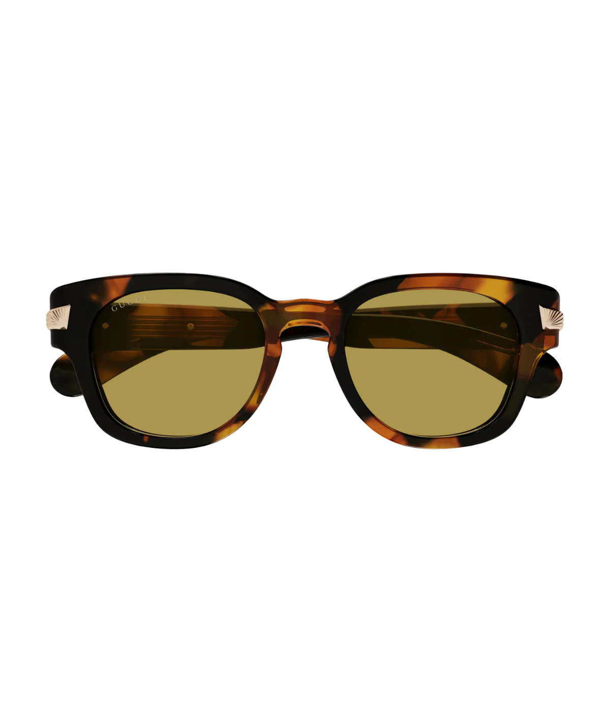 Havana-Brown
