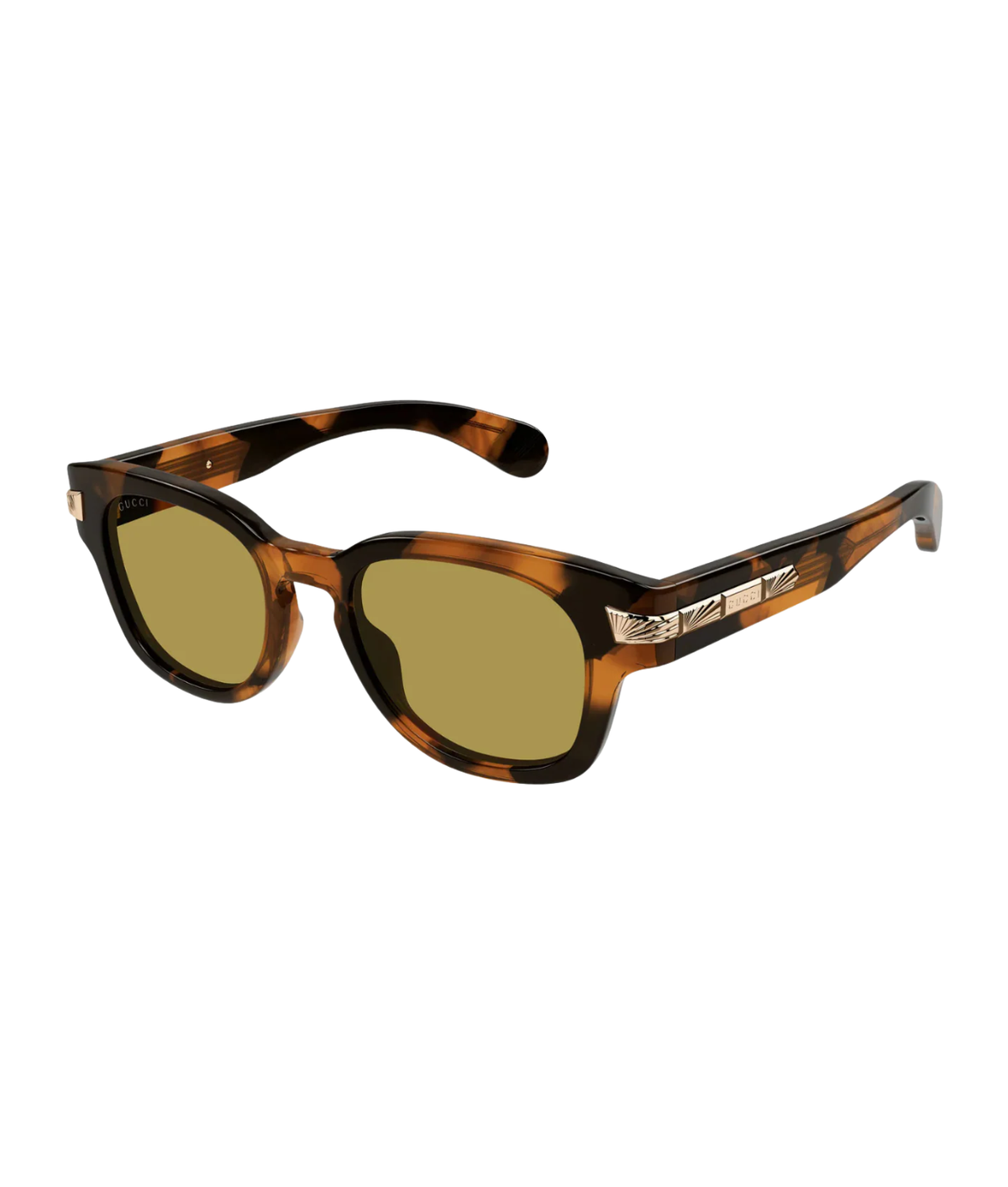 Havana-Brown