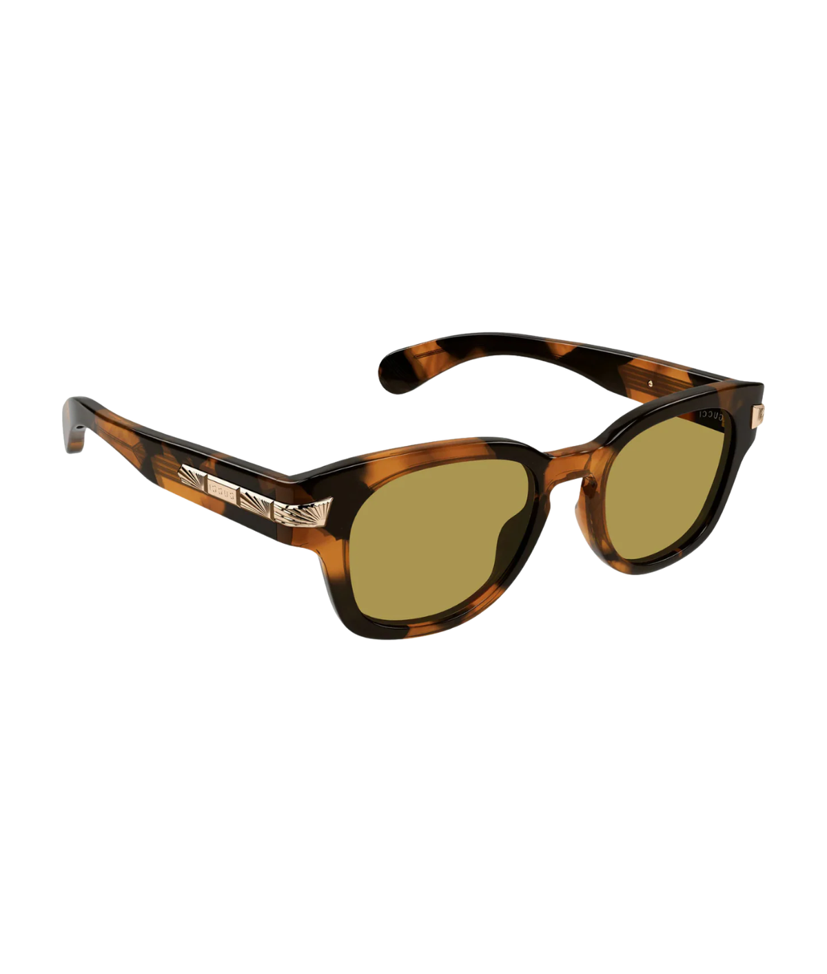 Havana-Brown