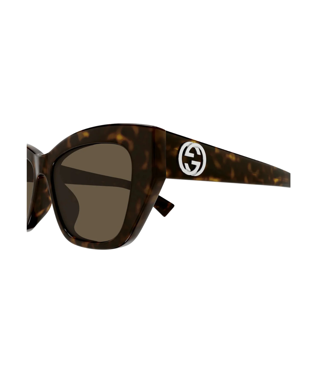 Havana-Brown