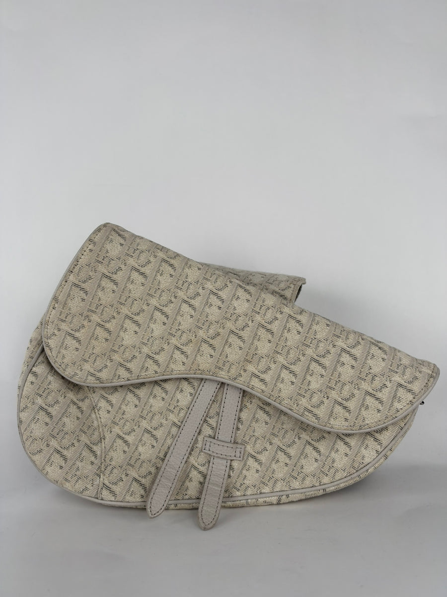 Christian Dior Oblique Men Saddle Beige