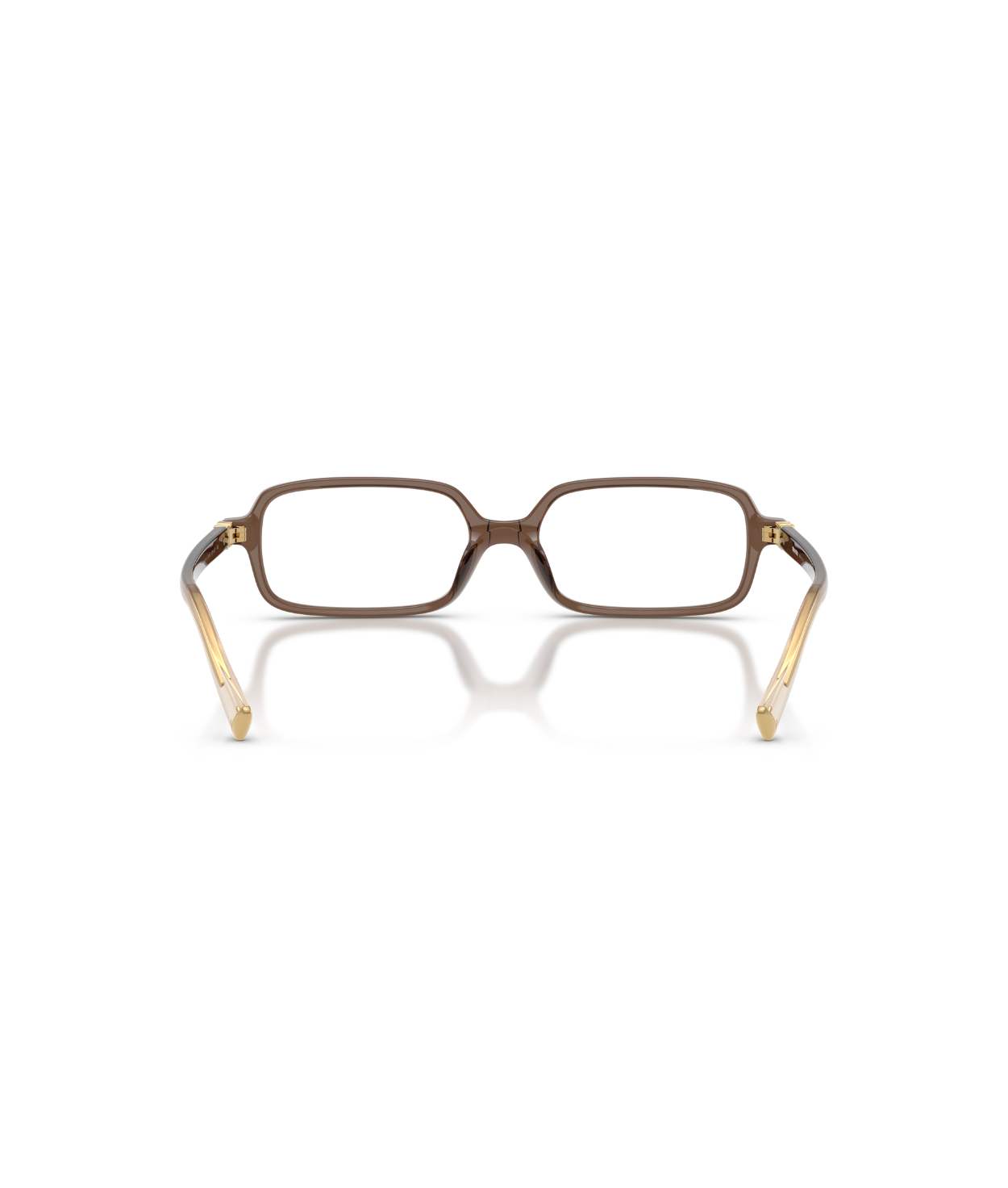 Brown Transparent