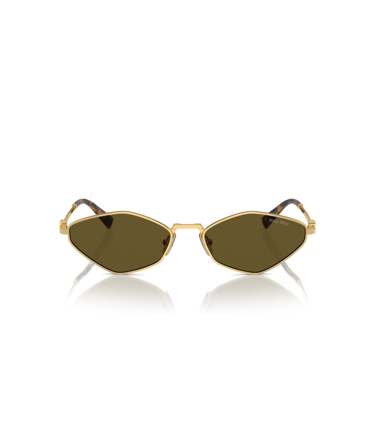 Gold-Dark Brown