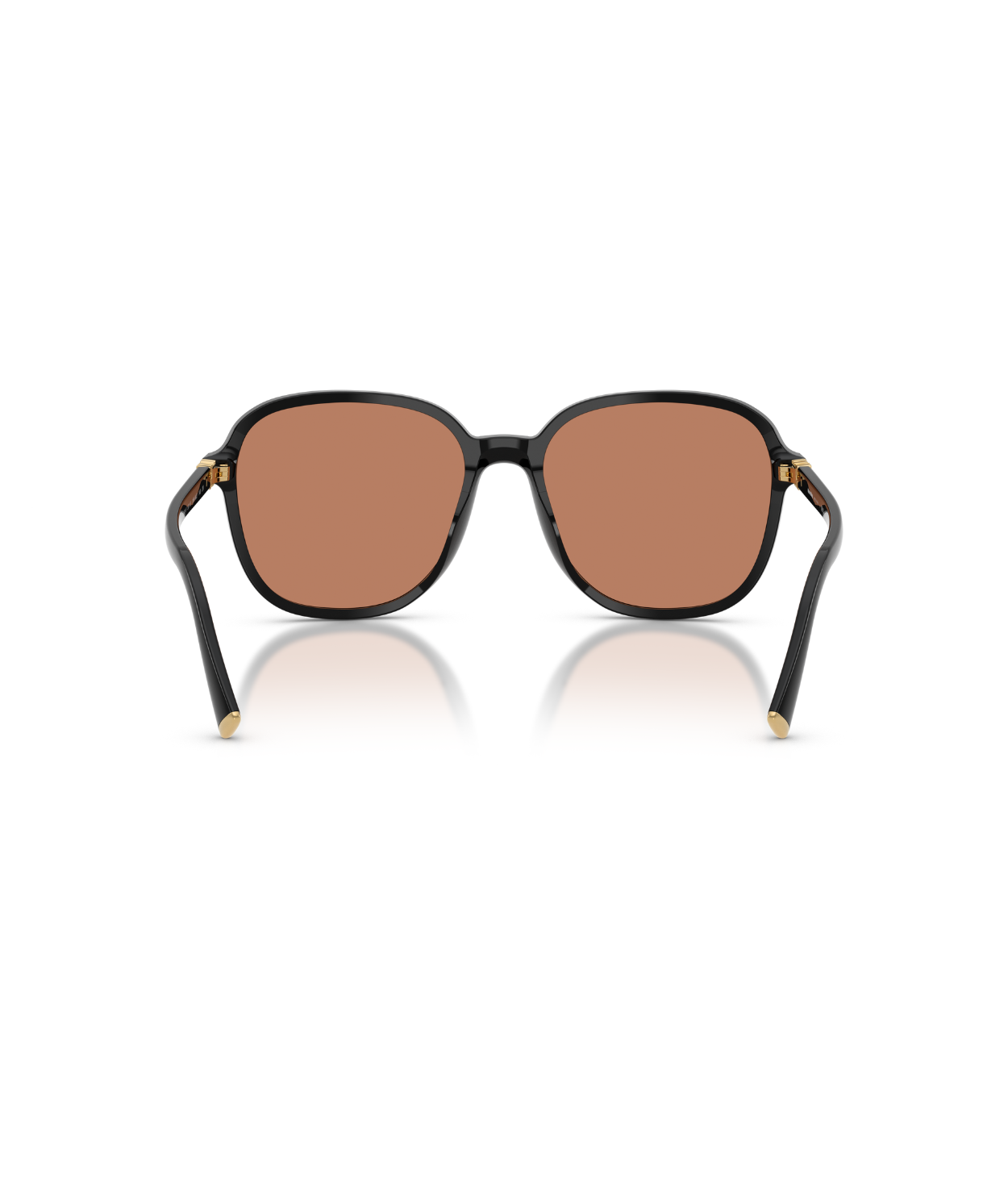 Black-Brown