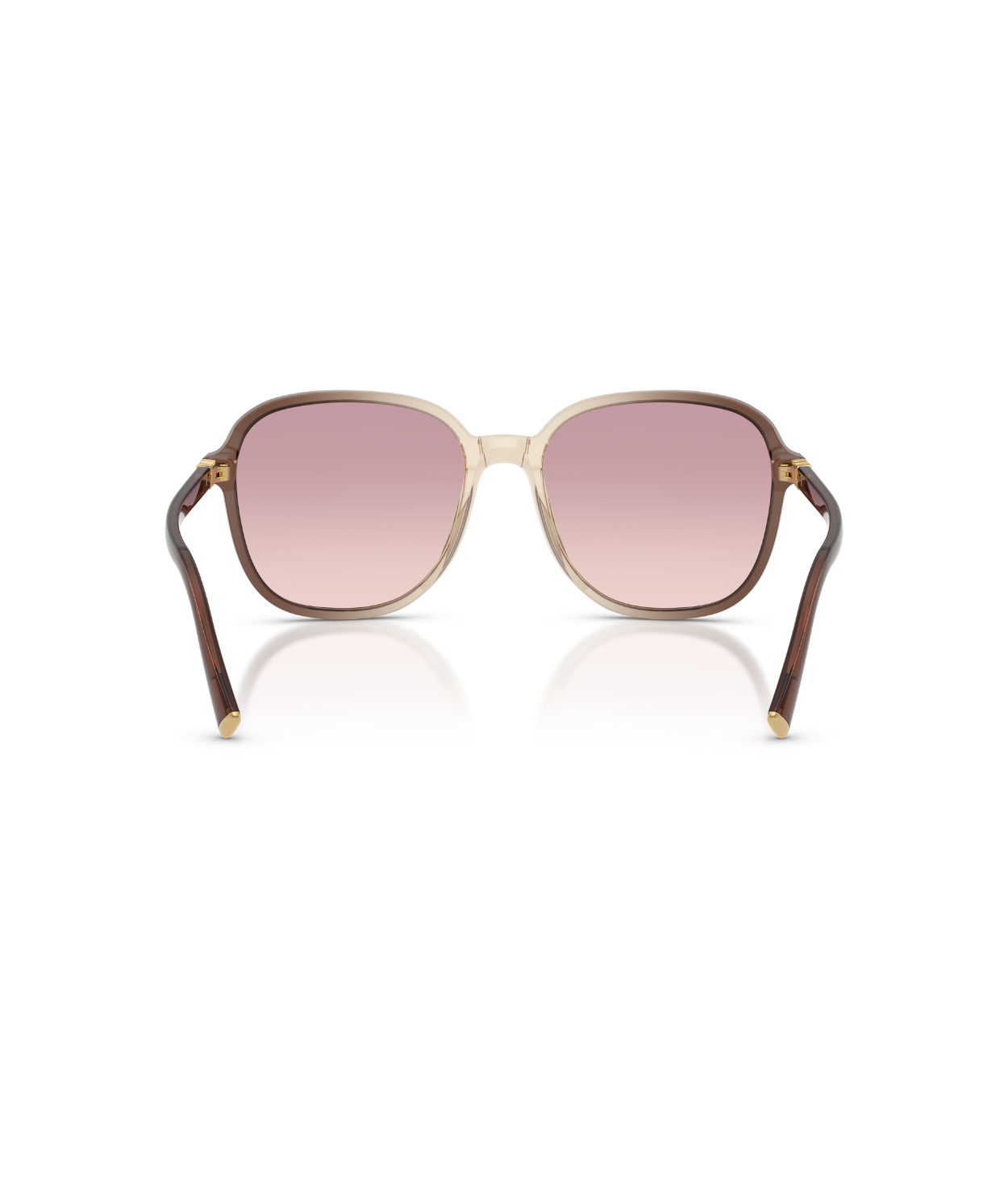 Brown-Violet