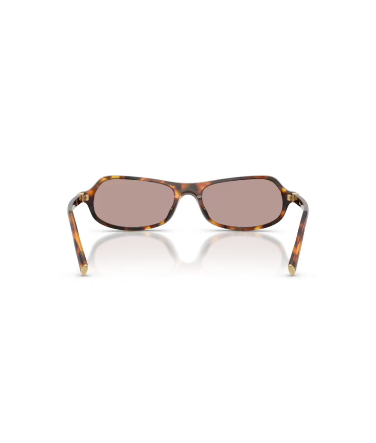 Honey Havana-Light Purple Brown