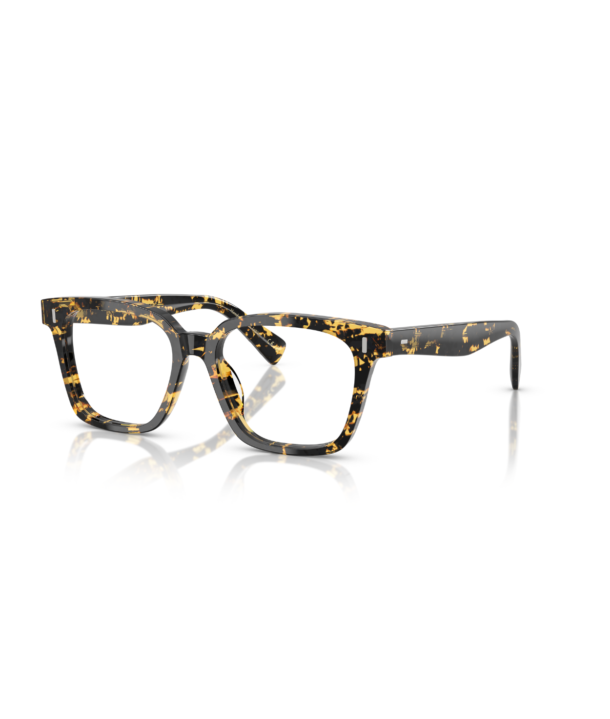 Tokyo tortoise