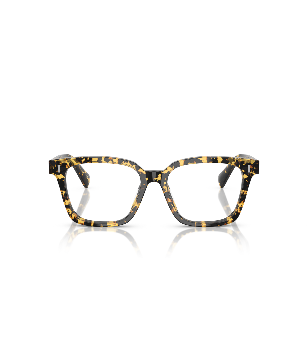 Tokyo tortoise