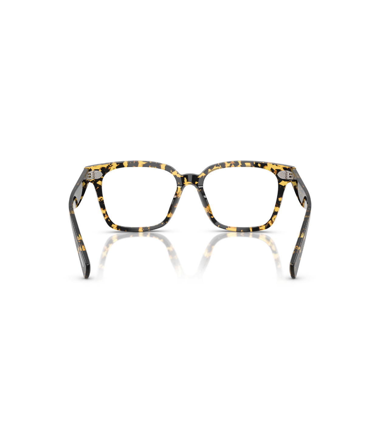 Tokyo tortoise