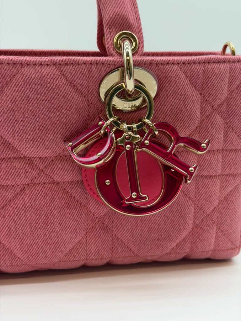 Christian Dior D'Joy Bag Pink Mini