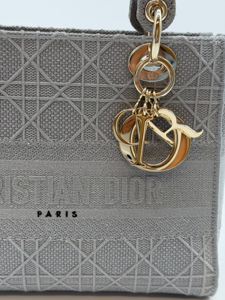 Christian Dior D'Lite Bag Grey Medium